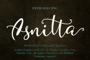 Asnitta: The Playful Script Font for Small Business Branding
