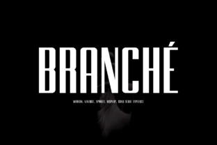Branche: A Sturdy Sans Serif for Editorial Design