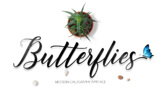 Butterflies Script Font for Elegant Small Business Branding