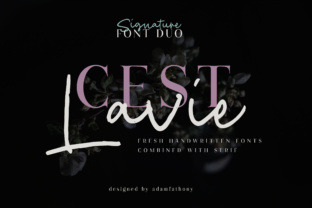 Cest Lavie Duo: The Serif Font for Clear Campaign Messaging