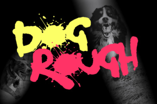 Dog Rough: A Graffiti-Inspired Typeface for Bold Editorial Design