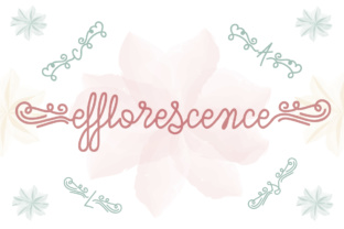 Efflorescence Font: A Stunning Script for Designers