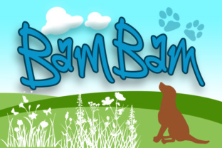 Launch Bold Campaigns with the BamBam Handwritten Font