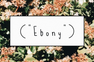 Why Ebony Script Handwritten Fonts Win Campaigns